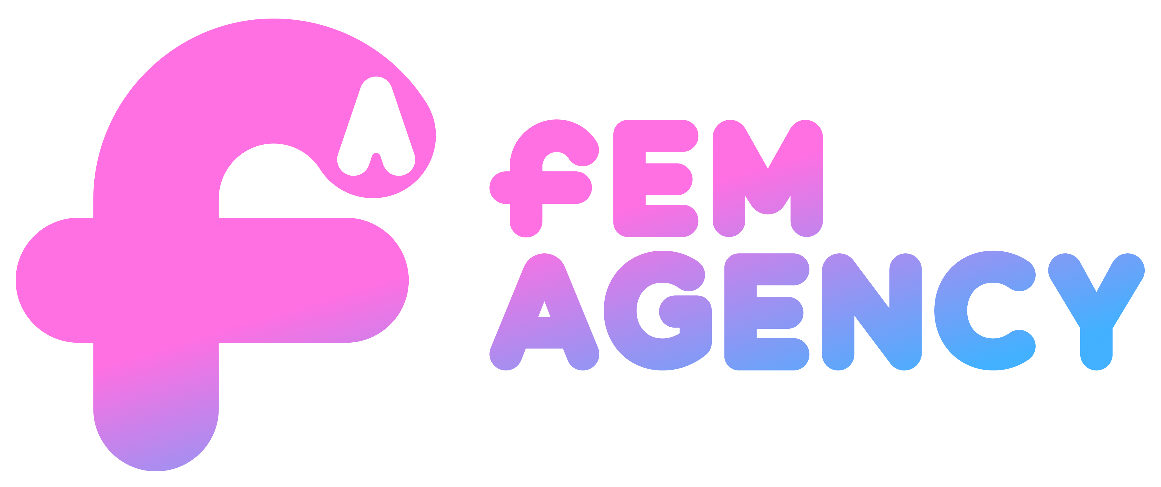 FEM Agency logo